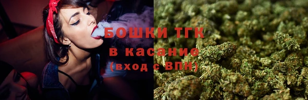 Альфа ПВП Аркадак
