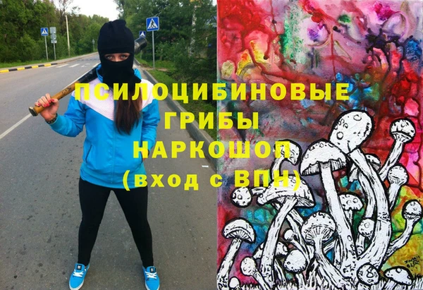 Альфа ПВП Аркадак