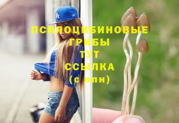 тгк Армянск